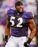 Ray Lewis 2010 Action Photo
