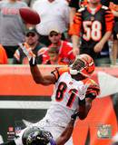 Terrell Owens 2010 Action Photo