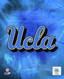 2010 UCLA Bruins Logo Photo 2010 UCLA Bruins Logo Photo