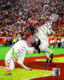 Mascot Of Usc