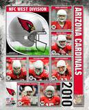 2010 Arizona Cardinals Team Composite Photo