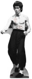 Bruce Lee Stand Up