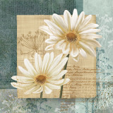Daisy Field I Kunst af Conrad Knutsen Daisy Field I Kunst af Conrad Knutsen