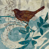 Songbird II Kunstdrucke von Carol Robinson