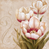 Perfect Blooms II Posters by Nan Perfect Blooms II Posters by Nan
