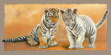 Oh My Sister! Ranthambore et Singalila Plakater av Danielle Beck