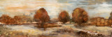 Morning Meadow II Pósters