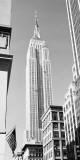 Edificio Empire State Láminas por Dave Butcher
