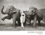 Dovima with Elephants, c.1955 Affiches par Richard Avedon