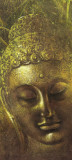 Buddha in Green ll Kunstdruck von Wei Ying-wu