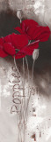 I Love Poppies Láminas por Franz Heigl
