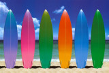 Planches de surf Affiche