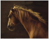 Wild Heart Kunstdrucke von Tony Stromberg