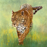 Kalina, le Jaguar Lámina por Danielle Beck Kalina, le Jaguar Lámina por Danielle Beck