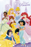Disney Princess Poster