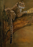 Panthera du Serengeti Art par Danielle Beck