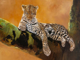 Léopard du Serengeti Posters par Danielle Beck