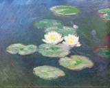 Water Lilies, Effects at the Evening Poster af Claude Monet Water Lilies, Effects at the Evening Poster af Claude Monet