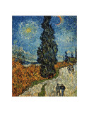 Country Road in Provence by Night, c.1890 Poster by Vincent van Gogh