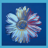 Gänseblümchen, ca. 1982 (blau auf blau) Kunst von Andy Warhol