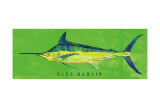 Blue Marlin Poster von John Golden