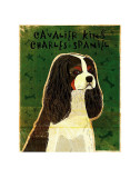 Cavalier King Charles (tri-color) Affiches par John Golden