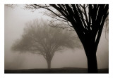 Memories of Winter Kunstdrucke von David Winston