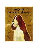 English Springer Spaniel Prints by John Golden English Springer Spaniel Prints by John Golden