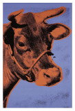 Cow, c.1971 (Purple and Orange) Poster by Andy Warhol
