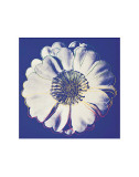 Flower for Tacoma Dome, c.1982 (Blue and White) Posters by Andy Warhol