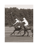 Polo In The Park III Plakaty autor Ben Wood