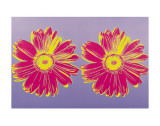 Daisy, c.1982 (Double Pink) Poster von Andy Warhol