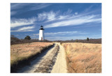 Cape Poge Lighthouse Prints by Rezendes Cape Poge Lighthouse Prints by Rezendes