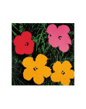 Blumen, 1964 (Rot, Pink und Gelb) Kunstdruck von Andy Warhol