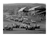 Goodwood Poster von Ben Wood