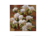 Spring Sonnet Prints by Onan Balin