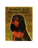 Cavalier King Charles (black and tan) Art by John Golden