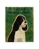 English Springer Spaniel (black and white) Print by John Golden English Springer Spaniel (black and white) Print by John Golden