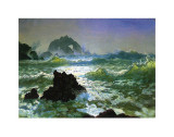 Rocher aux phoques Affiches par Albert Bierstadt