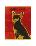 Chihuahua (black and tan) Prints by John Golden