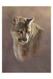 Watchful Eyes Prints by Kalon Baughan