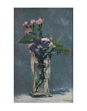 Carnations and Clematis in a Crystal Vase Kunstdrucke von Édouard Manet