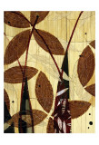 Trout and Feather II Posters af Nina Tichava