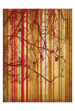 Auburn Stripe Prints by Erin Clark Auburn Stripe Prints by Erin Clark