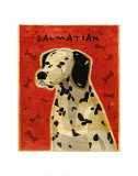 Dalmatien Posters par John Golden