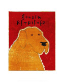 Golden Retriever Affiches par John Golden