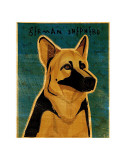 German Shepherd Prints by John Golden German Shepherd Prints by John Golden