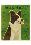 Border Collie Prints by John Golden