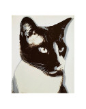 Cat, c.1976 Arte por Andy Warhol Cat, c.1976 Arte por Andy Warhol