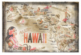 Aloha Hawaï Poster